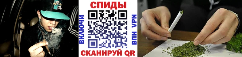 купить   Сертолово  мега сайт  Бутират вода 