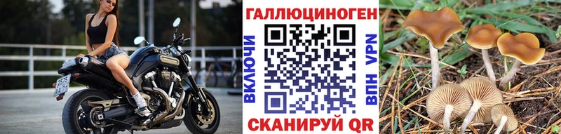Галлюциногенные грибы Magic Shrooms  где купить наркотик  Сертолово 